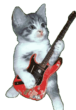 cat playing guitar